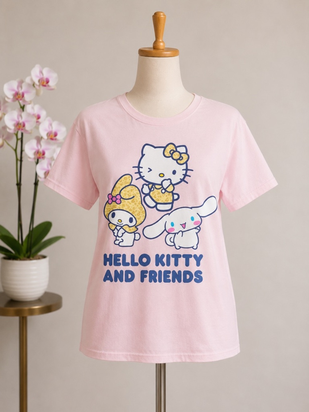 Love‎ Tribe Pink Hello Kitty & Friends Tee Blue NEW L